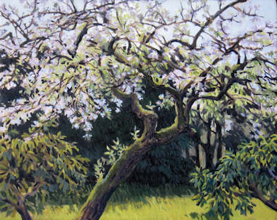 Apfelbaum, blhend
